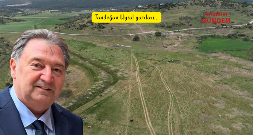Bodrum’un Son Meraları Betona Teslim Ediliyor