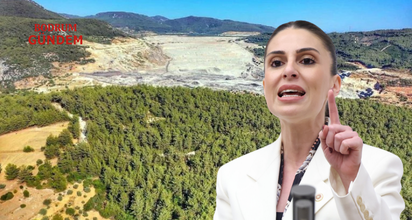 CHP’li Özcan’dan İktidara Akbelen Tepkisi