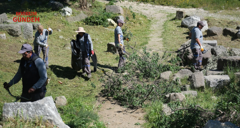 Halikarnassos Surları ve Myndos Kapısı’nda Temizlik Çalışmaları Tamamlandı
