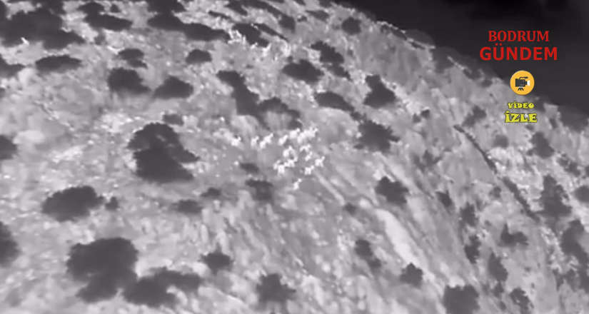 Yaban Keçileri Termal Drone ile Görüntülendi
