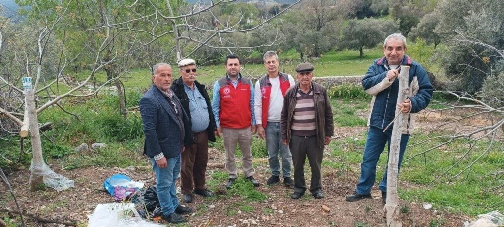 Menteşe’de çiftçiye uygulamalı eğitim
