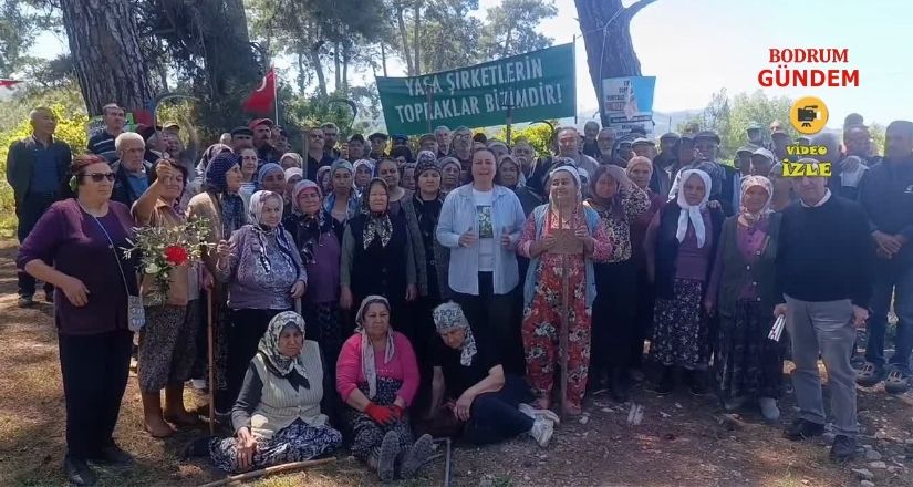 İkizköy Akbelen Davasında Danıştay’dan Yürütmeyi Durdurma Kararı