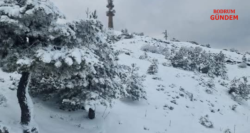 Mayıs ayında Göktepe beyaza büründü