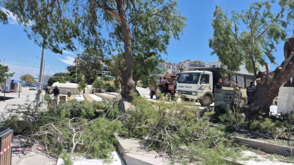Datça’da rüzgâr etkili oldu