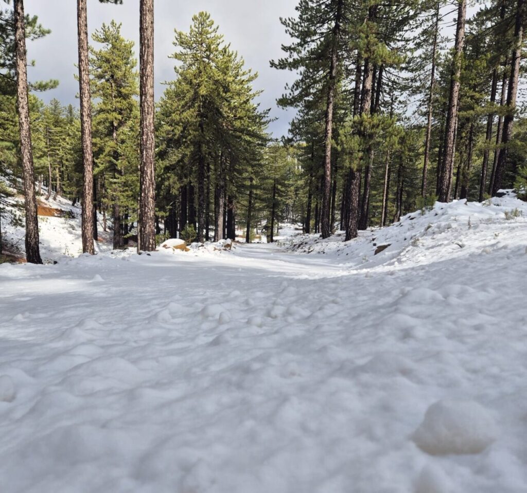 Sandras Dağı’na kar yağdı  