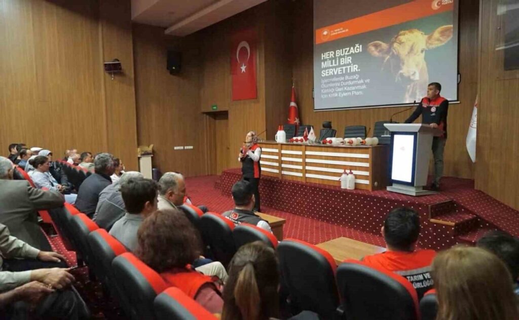 Buzağı kayıplarını azaltmaya yönelik eğitimler başladı