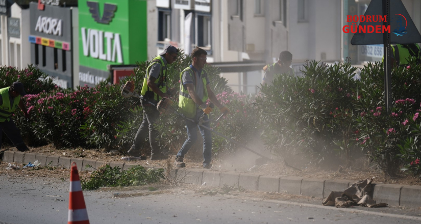 Bodrum’da Ot Temizliği Çalışmaları Tüm Hızıyla Devam Ediyor