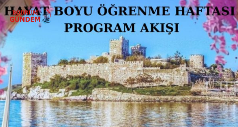 Hayat Boyu Öğrenme Haftası Etkinlikleri 3 Haziran’da